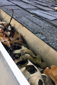 Dachrinnenreinigung Kosten